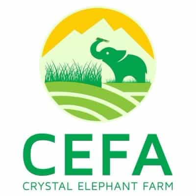 CEFA logo