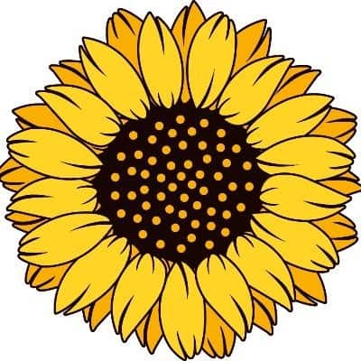 sunflower finance logo