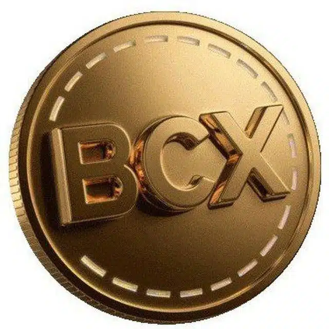 Big Coin