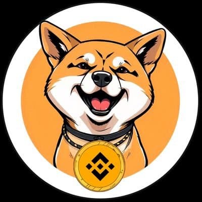 BNBDoge