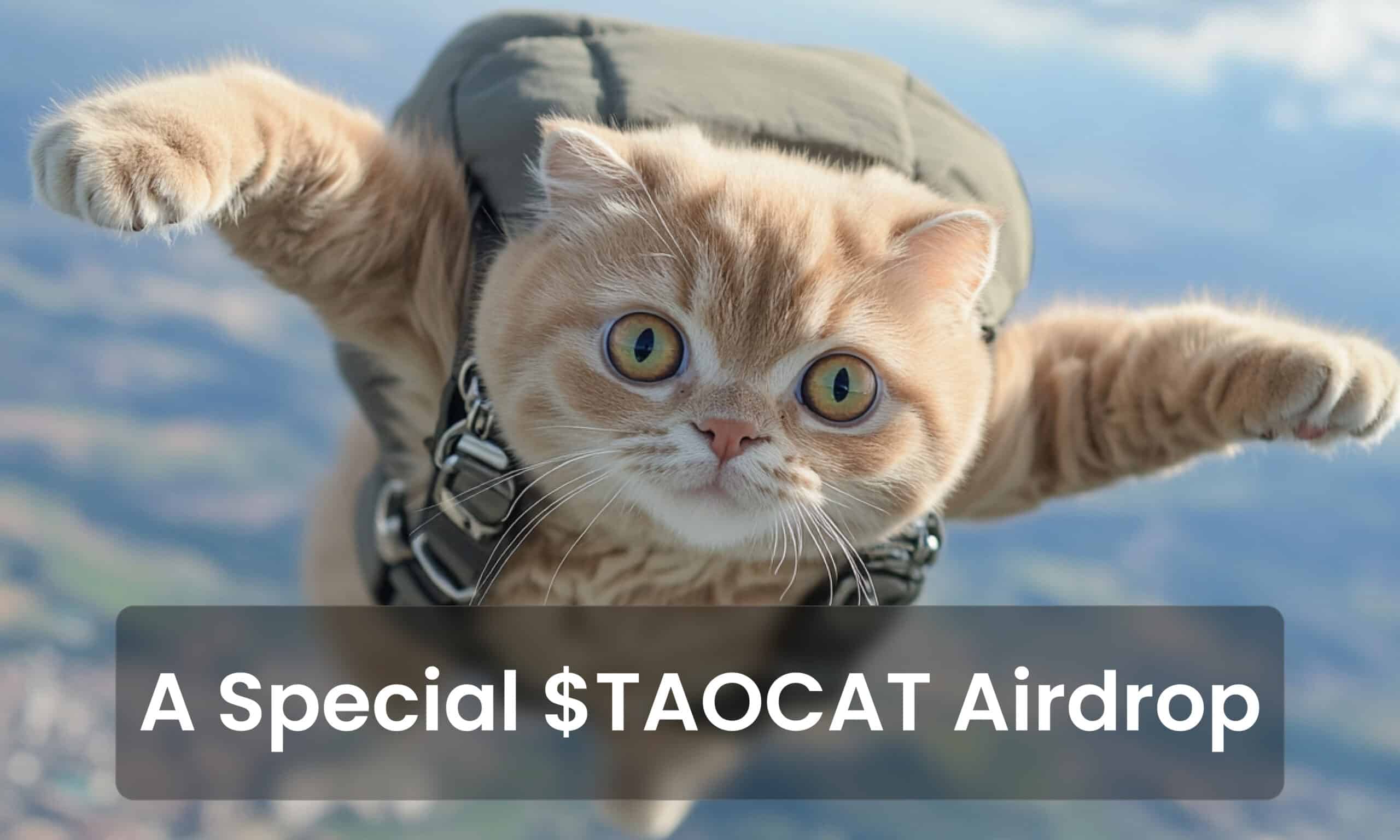 TAO Cat Airdrop