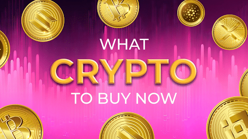 What Crypto to Buy Now: Hidden Gems Flying Under the Rad