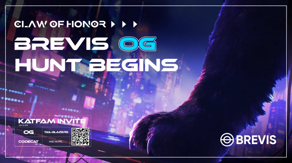Brevis network OG hunt