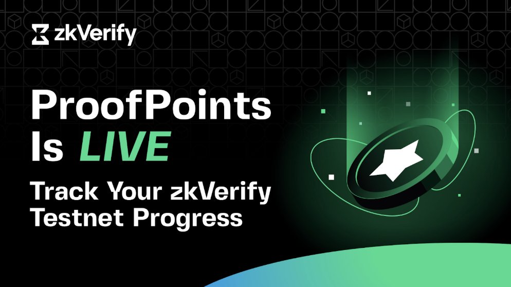 zkVerify ProofPoints Program